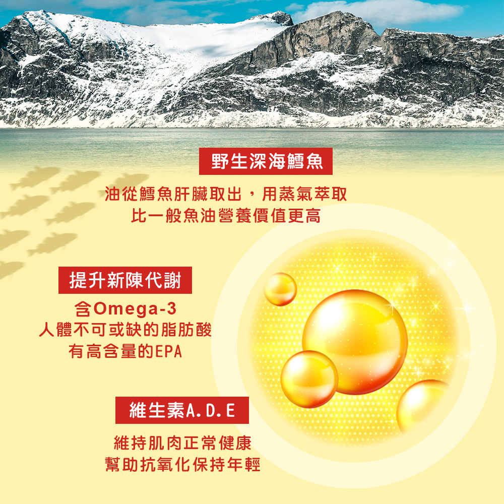 Mollers 睦樂 北極鱈魚肝油PLUS D (檸檬風味)250ml/瓶  維生素D加量50%