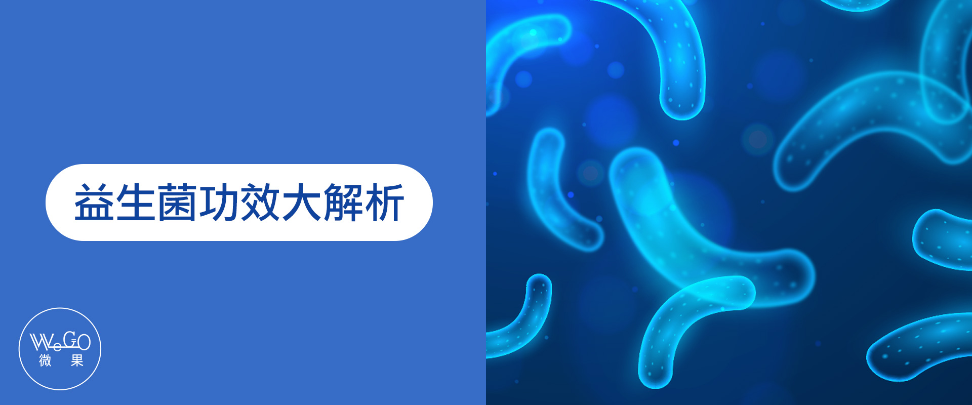 Wego微果-益生菌功效